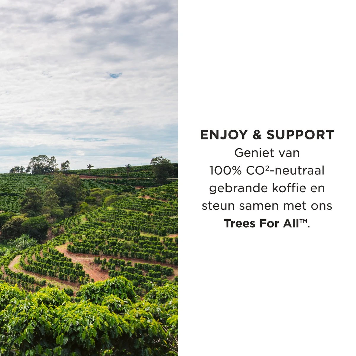 Aroma Club - Cafeïnevrije Koffiebonen 1KG - No. 5 Decaf John - Koffie Intensiteit 3/5 2 Aroma Club - Cafeïnevrije Koffiebonen 1KG - No. 5 Decaf John - Koffie Intensiteit 3/5 - Afbeelding 2